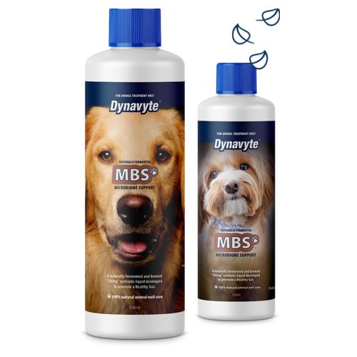 Dynavyte Pet Dog