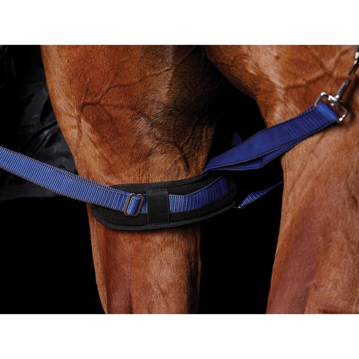 Weatherbeeta Padded Leg Straps