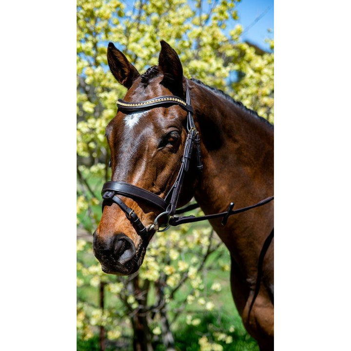 Flexible Fit Topaz Wave Snaffle Bridle with Brass Buckles